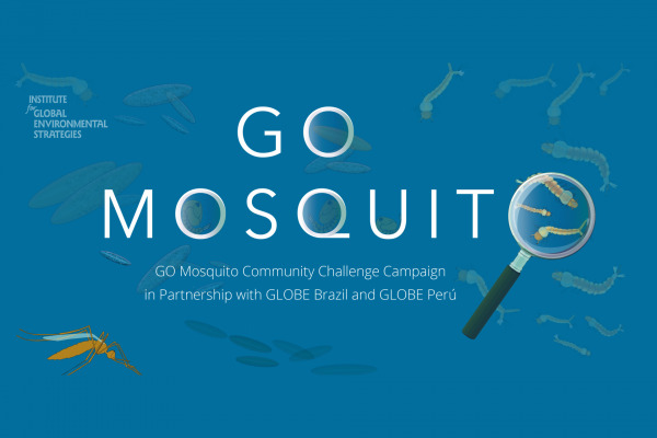 GO Mosquito Campaign